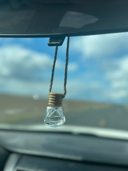 Car diffuser